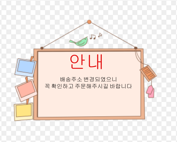 팝업